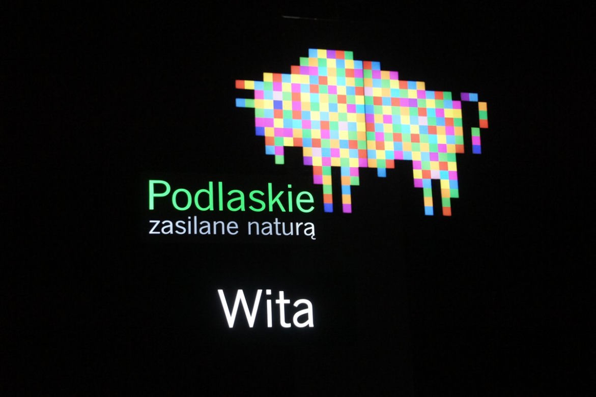 Pikselowy żubr przy S8. Wita wjeżdżających do woj. podlaskiego [ZDJĘCIA]