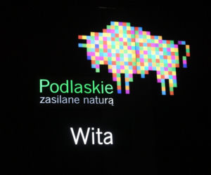 Pikselowy żubr przy S8. Wita wjeżdżających do woj. podlaskiego [ZDJĘCIA]