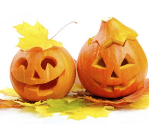 dynia na halloween