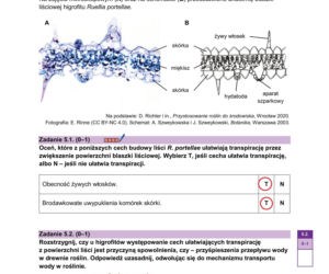 Matura 2026 biologia ROZSZERZONA: Arkusze CKE i odpowiedzi - sprawdź, czy zdałeś! 8.05.2026