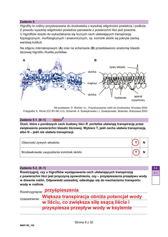 Matura 2026 biologia ROZSZERZONA: Arkusze CKE i odpowiedzi - sprawdź, czy zdałeś! 8.05.2026