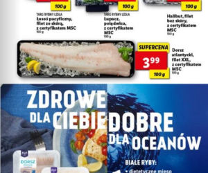 Mega promocje w Lidlu