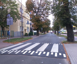 W Toruniu pojawiły się wyniesione przejścia dla pieszych. Sprawdziliśmy jak działają!
