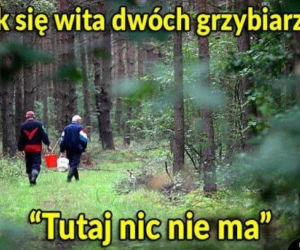 Trwa sezon na grzyby! Oto najlepsze memy o grzybiarzach!