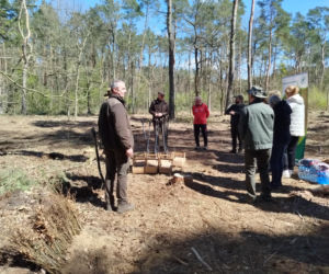 W Lesie Sekulskim rośnie już kilkaset nowych, młodych buków! Drzewa zasadzili członkowie siedleckiego samorządu i leśnicy