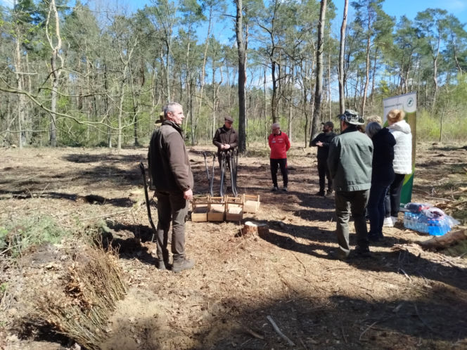 W Lesie Sekulskim rośnie już kilkaset nowych, młodych buków! Drzewa zasadzili członkowie siedleckiego samorządu i leśnicy
