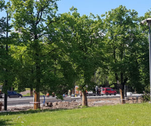 Torowisko prawie gotowe! Są postępy w pracach na al. św. Jana Pawła II