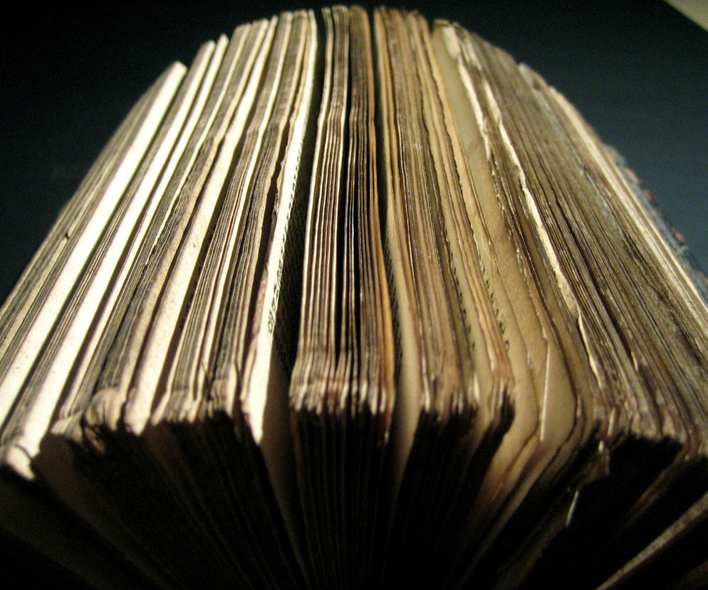 Bogurodzica: streszczenie, opracowanie, archaizmy, PODCAST