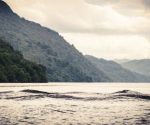 Potwór z Loch Ness jest żółwiem! Naukowcy ujawniają