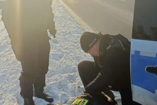 Pies przymarzł do pobocza, odkuli go policjanci