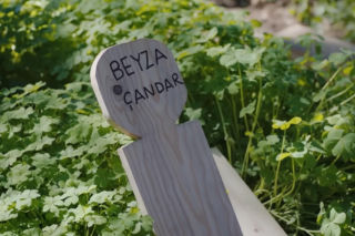 Panna młoda odc. 461. Grób Beyzy
