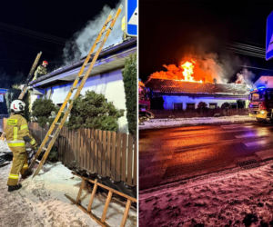 Druh Tymek wyniósł kota z płonącego domu. „Być może nie udałoby się go uratować”