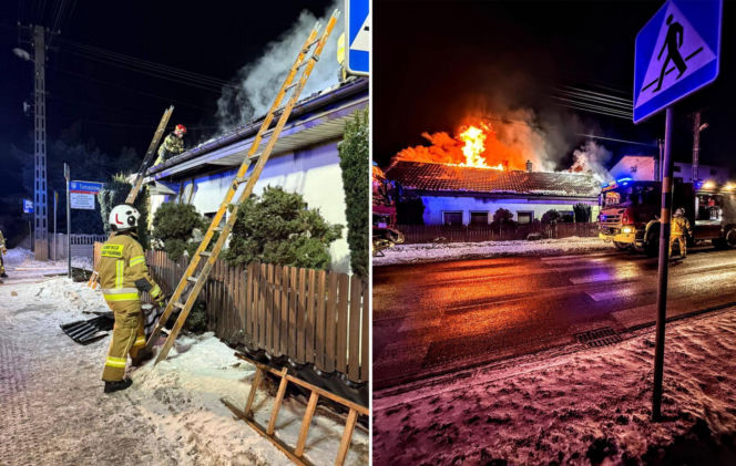 Druh Tymek wyniósł kota z płonącego domu. „Być może nie udałoby się go uratować”