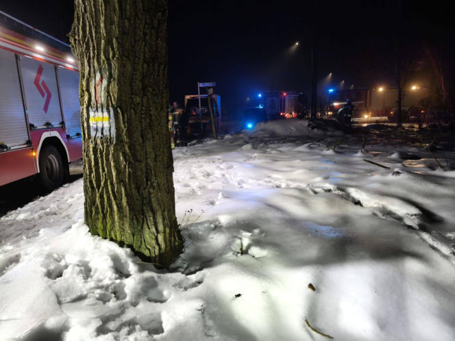 Kobieta spadła ze skarpy przy platformie widokowej. Dramatyczna akcja ratunkowa! [ZDJĘCIA]