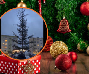 Choinka Roku 2025 w Siemirowicach: Kiedy Piękno Oznacza Stan Psychiczny