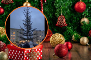 Choinka Roku 2025 w Siemirowicach. Internauci bezlitośni! Więcej lampek niż igieł