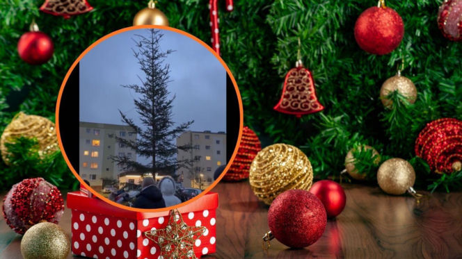 Choinka Roku 2025 w Siemirowicach: Kiedy Piękno Oznacza Stan Psychiczny