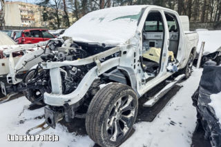 Nalot na dziuplę z kradzionymi autami. W środku znaleźli prawdziwą fortunę