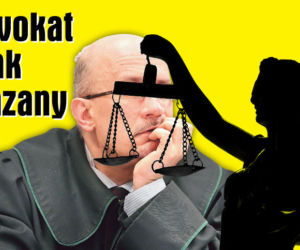 Adwokat  pijak  skazany