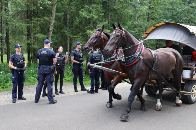 Protesty przeciwko konnemu transportowi nad Morskim Okiem