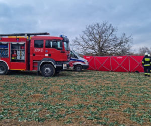 Maszki . Nie żyje 46-latek przygnieciony przez drzewo! Tragedia przy wycince [ZDJĘCIA]