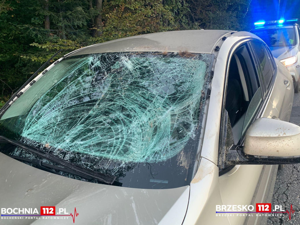 Kierujący bmw dwukrotnie zderzył się z jeleniem