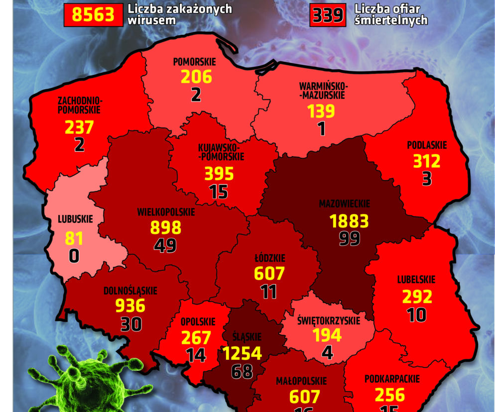 Koronawirus w Polsce. Podział województw, sobota 18.04, godz. 10