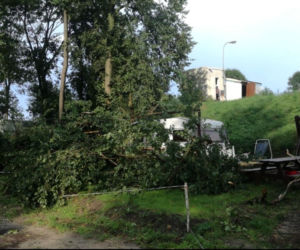 drzewo przygniotło przyczepę kempingową)