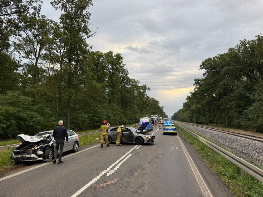Dwie kolizje na DK12 koło Kąkolewa. Zwierzę wbiegło na drogę