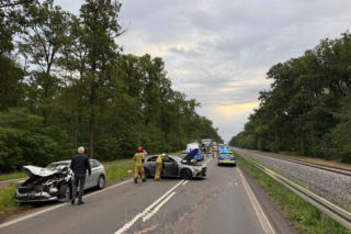 Dwie kolizje na DK12 koło Kąkolewa. Zwierzę wbiegło na drogę