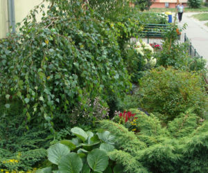 Najpiękniejsze balkony w Starachowicach