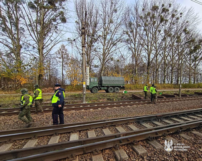 Żołnierze WOT jak policjanci? Mogą legitymować i zatrzymywać