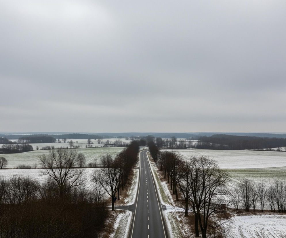 Długa, prosta, ciemnoszara droga z białymi, przerywanymi liniami pośrodku oraz ciągłymi liniami po bokach, biegnie przez środek zimowego krajobrazu, tworząc perspektywę zbiegającą się w oddali. Po obu stronach drogi rosną bezlistne drzewa i krzewy o ciemnych gałęziach, pokryte cienką warstwą śniegu. Za nimi rozciągają się rozległe, faliste pola pokryte białym śniegiem, spod którego miejscami przebija się zielona roślinność. W tle, na horyzoncie, widać pasy ciemnych lasów i błękitno-szare, jednolite niebo, co nadaje całości surowy, zimowy charakter.
