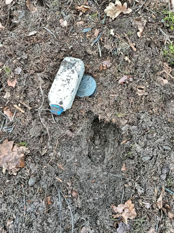 Akcja kryminalnych w lesie pod Toruniem. 44-latek zakopał tam narkotyki