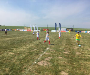Mini Mundial 2018: Pargowo