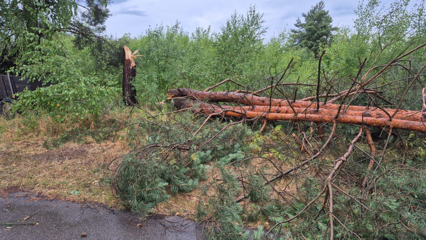 Skutki nawałnic w powiatach brzeskim i tarnowskim z 7 lipca 2025 roku