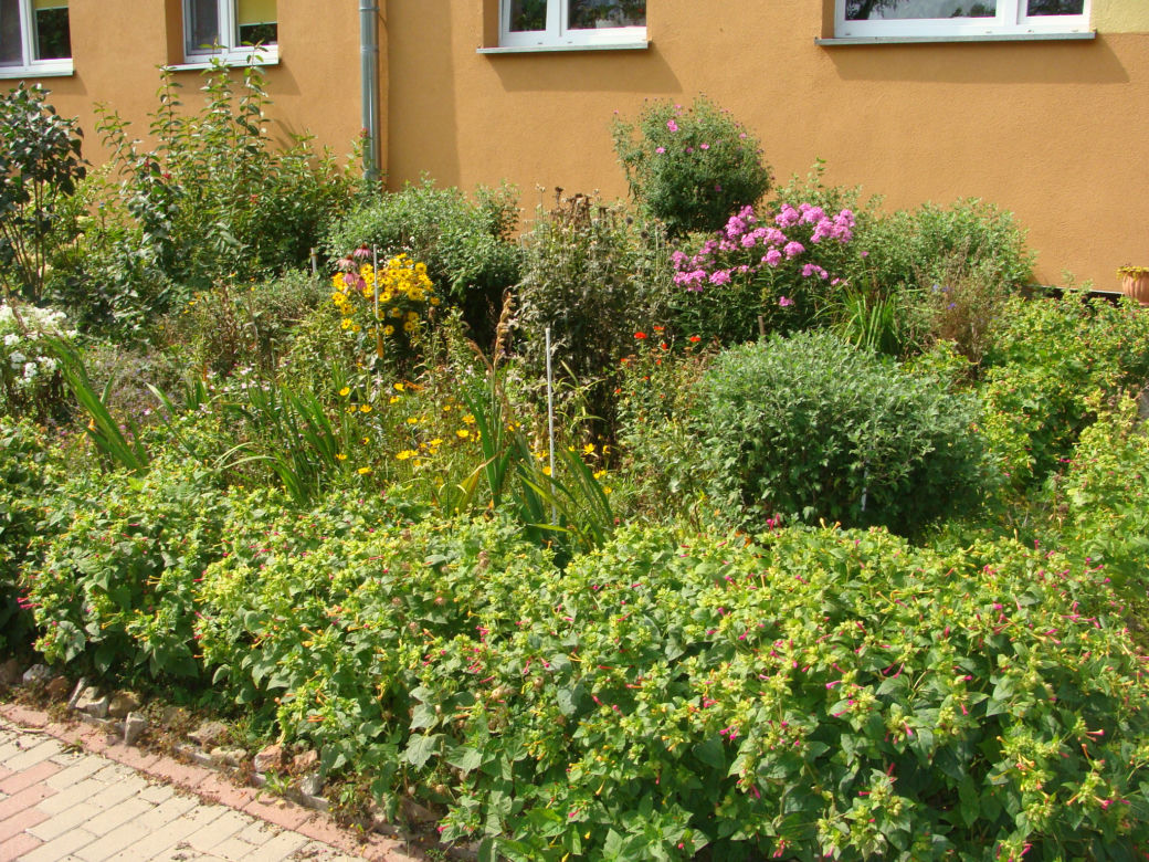 Najpiękniejsze balkony w Starachowicach