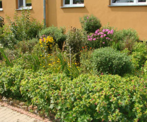 Najpiękniejsze balkony w Starachowicach