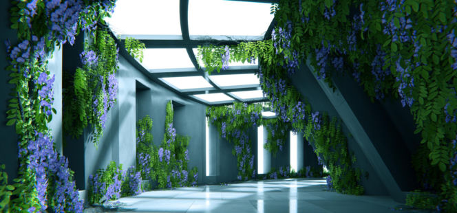 Betonowy korytarz z bujną zielenią i światłem słonecznym