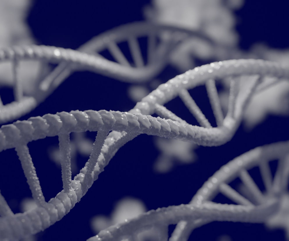 dna