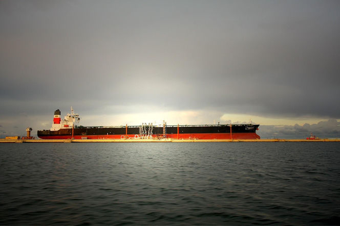 Naftoport w Porcie Gdańskim - Terminal