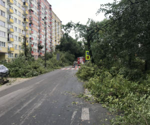 Jedną z dzielnic, któa ucierpiała najbardziej był Czechów Południowy