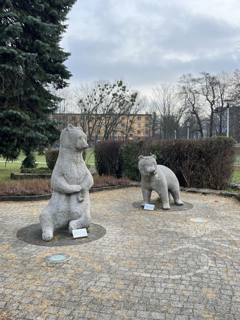 Niedźwiadki w Parku Niedźwiadków