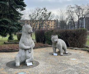 Niedźwiadki w Parku Niedźwiadków