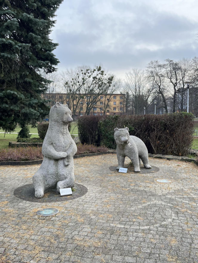 Niedźwiadki w Parku Niedźwiadków