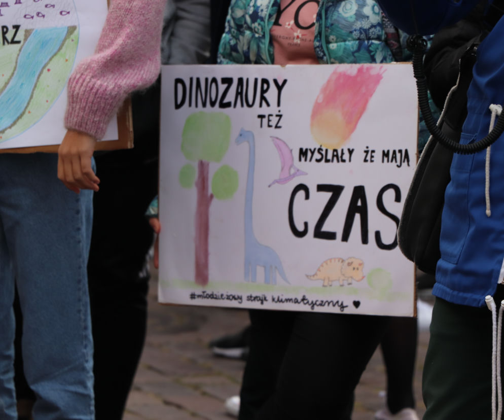 Młodzieżowy Strajk Klimatyczny w Toruniu. Protestowali przeciwko rządowi i korporacjom 