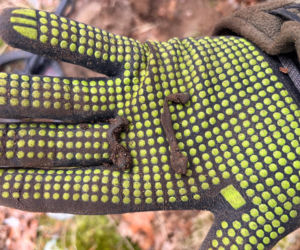 Pasjonaci historii znaleźli skarby sprzed 2 tysięcy lat