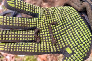 Pasjonaci historii znaleźli skarby sprzed 2 tysięcy lat