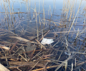 Siedleccy wędkarze chcą posprzątać okolice zalewu. Pomożecie?
