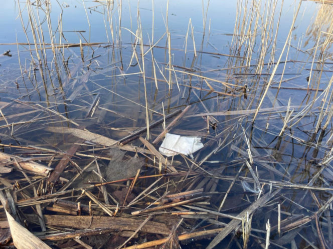Siedleccy wędkarze chcą posprzątać okolice zalewu. Pomożecie?